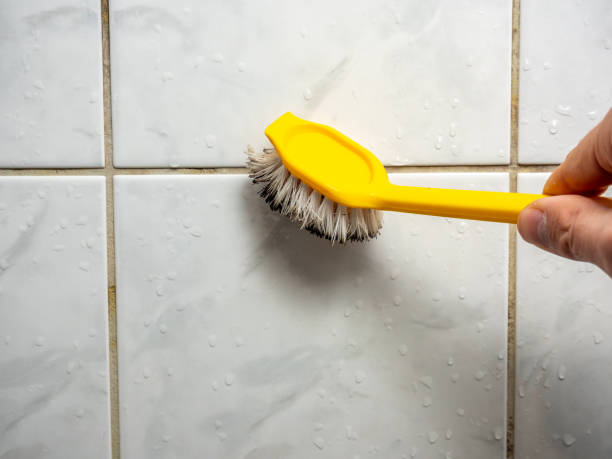 Hubbard, OR Mold Remediation Company